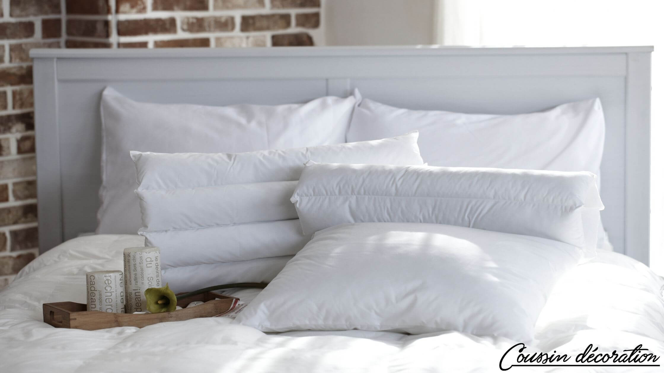 nettoyer du vomi sur un coussin