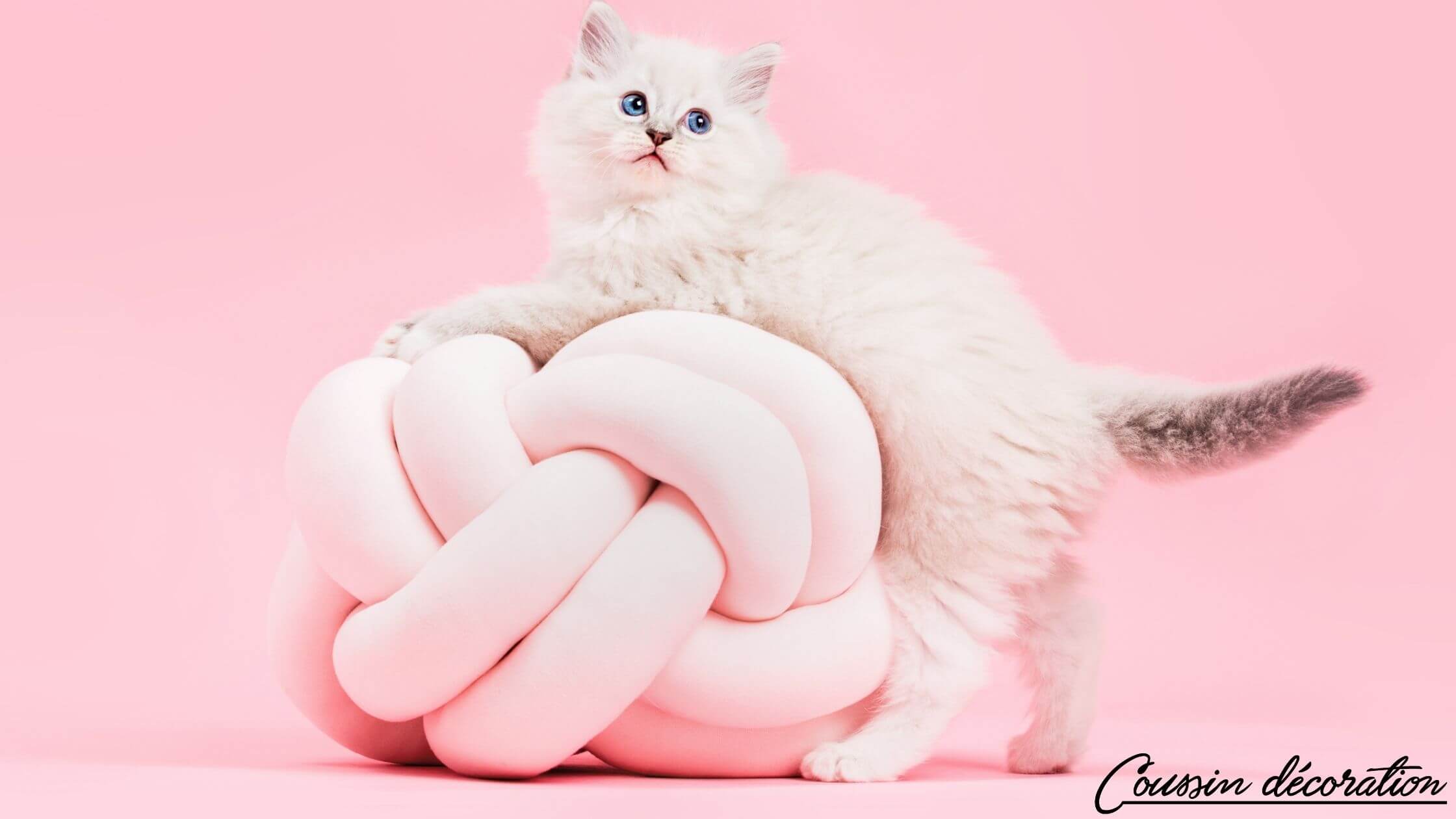 Coussin rigolo pour une meilleure relaxation