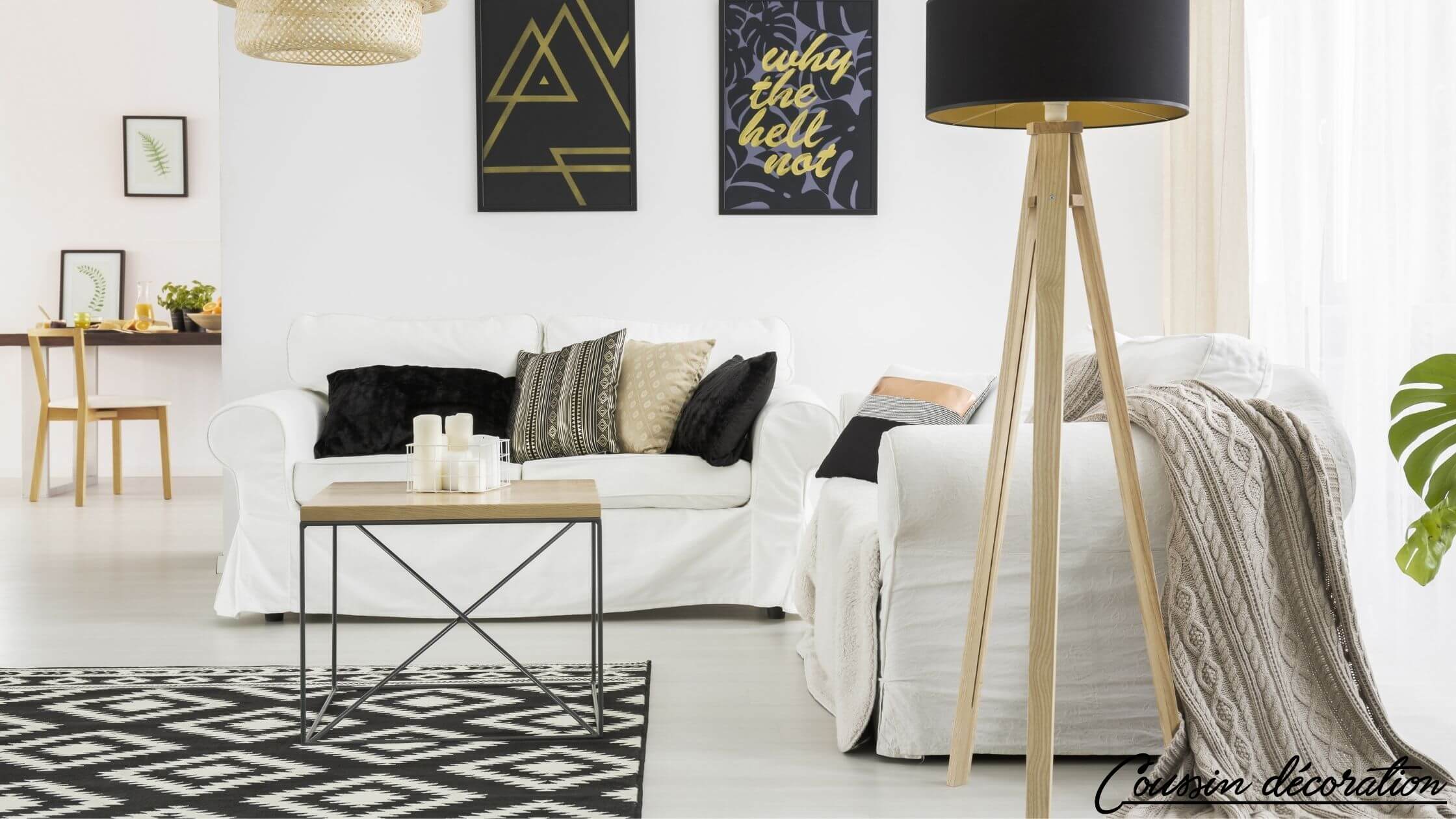 Coussins géométriques qui s'accordent avec le tapis noir et blanc