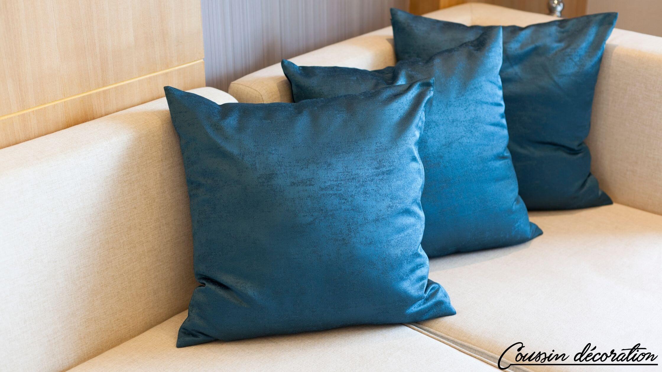 Coussins bleus en velours