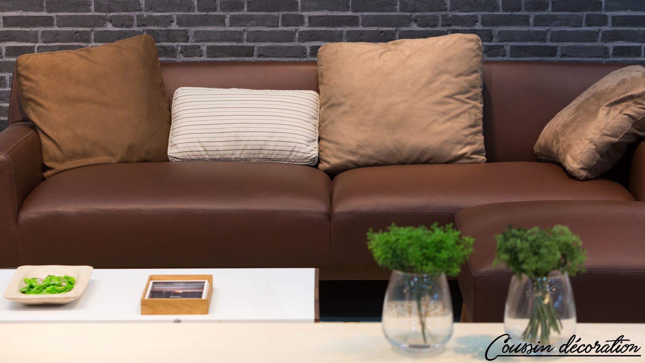 Coussins marrons de grande taille