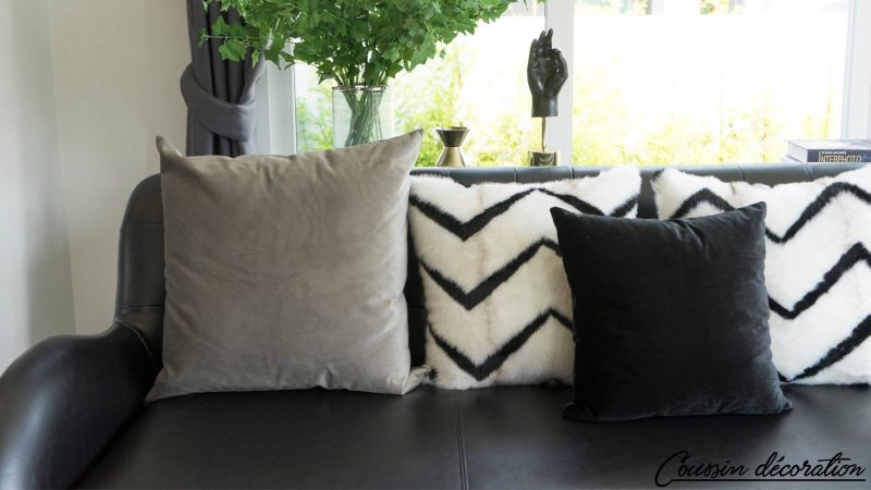 Les 7 meilleurs types de coussins pour votre canapé noir