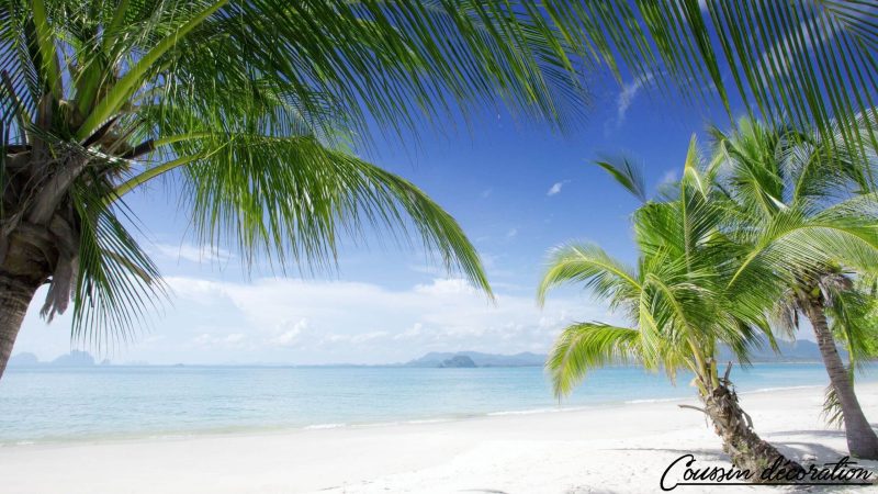 TOP 5 des meilleures housses de coussin motif tropical