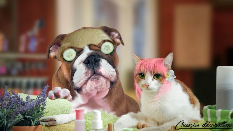 TOP 5 des meilleures housses de coussin drôles et rigolotes
