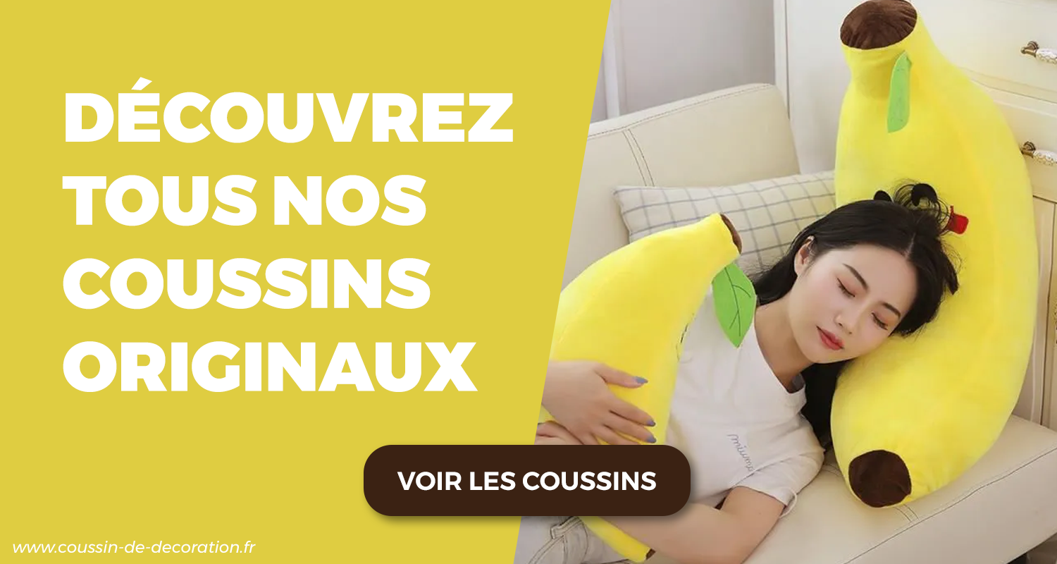 notre collection de coussins originaux