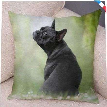 Tissu Polaire Doux Imprimé – Motif Bouledogue Français – 250g/m² – 50x160cm – Idéal Pour Plaids Et Vêtements